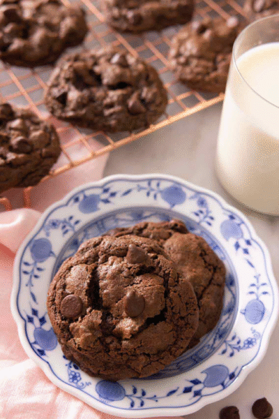 Double Chocolate Chip Cookies